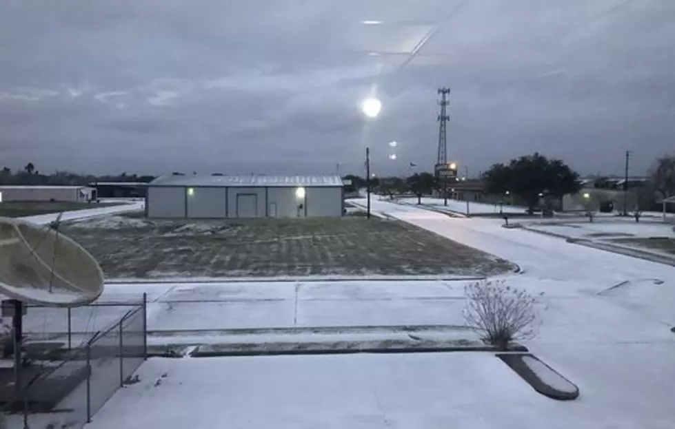 A Look Back at Our Historic Freeze in February 2020